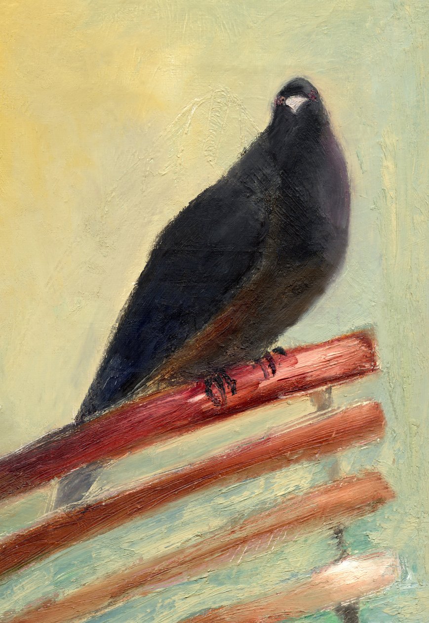 Kingly Court Pigeon, 2013, tekijältä Nancy Moniz Charalambous