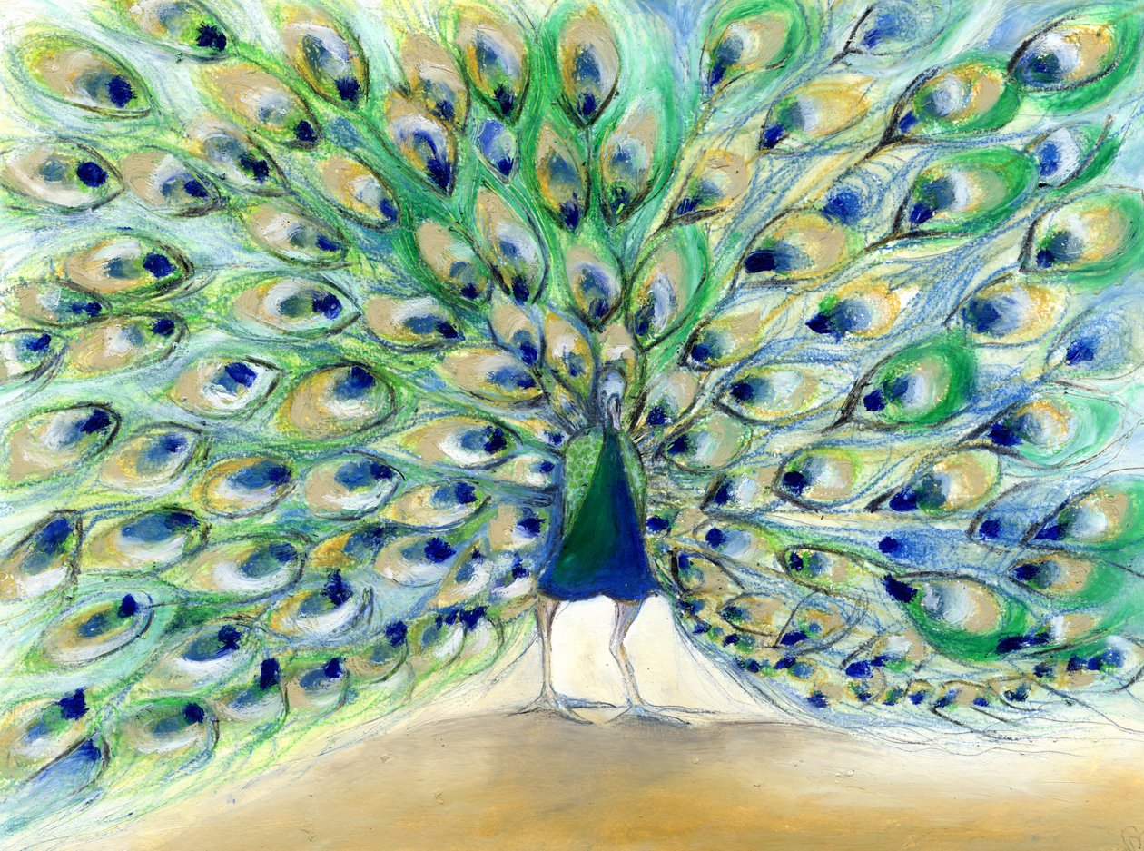 Peacock in San Diego 2, 2013, (öljy kortille) tekijältä Nancy Moniz Charalambous