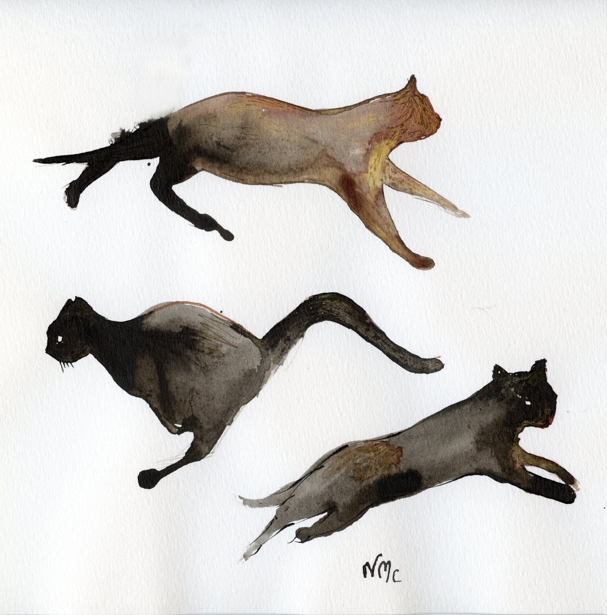 Run Cat Run, 2017, (muste paperille) tekijältä Nancy Moniz Charalambous