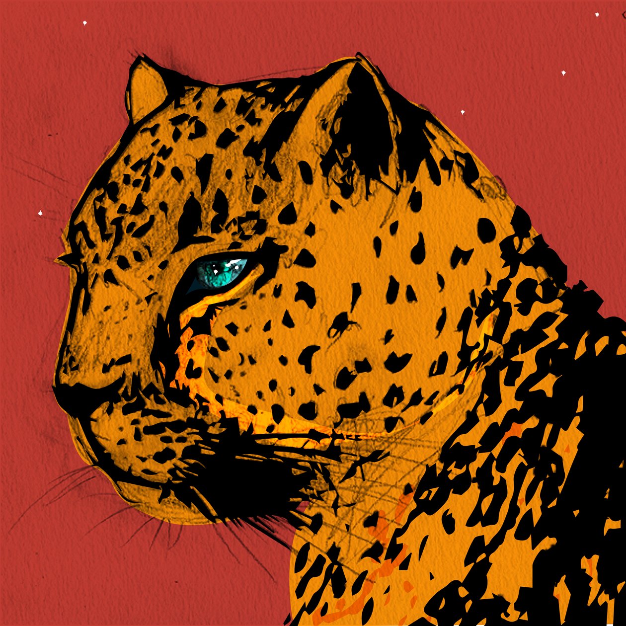 Mara Leopard, 2021 tekijältä Nancy Moniz Charalambous