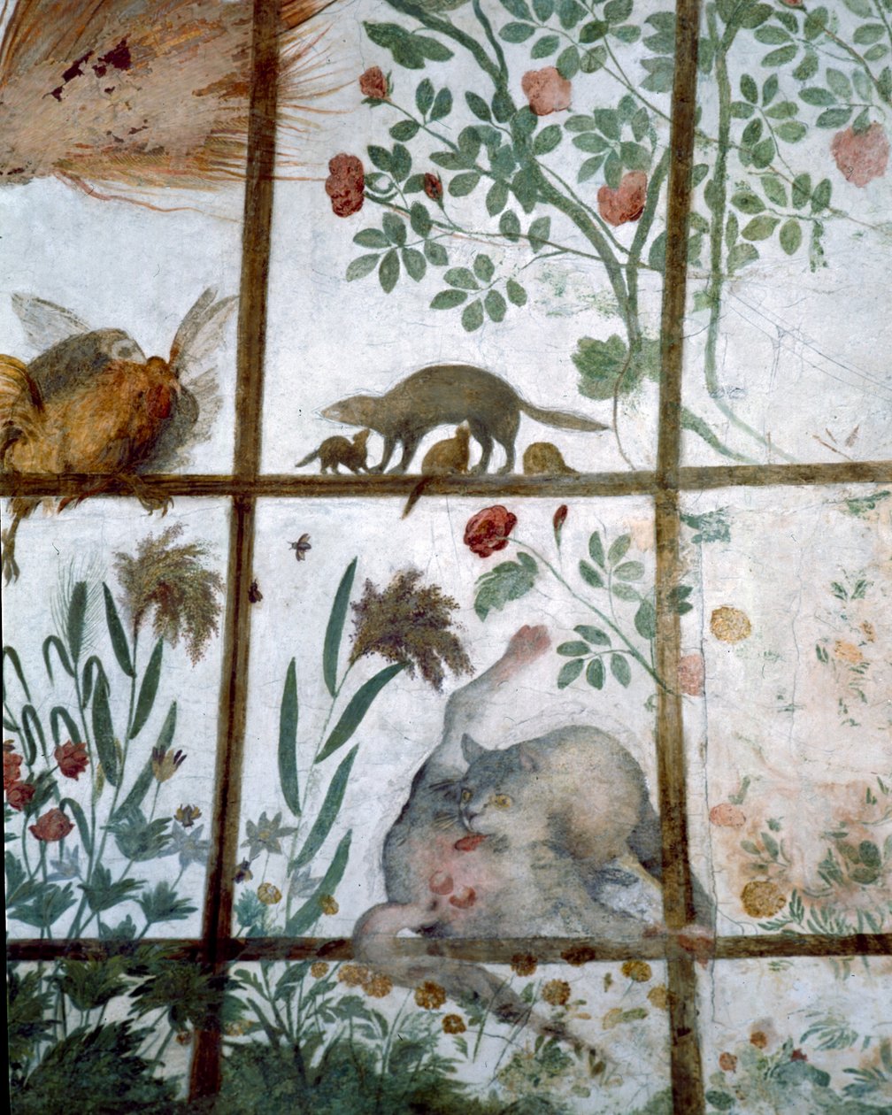 Studiolon eteishuone Francesco deMedicin työhuone 1541-87 Yksityiskohta koristeluista, jotka esittävät eläimiä puutarhan pergolassa, 1564-75 fresko. tekijältä Bartolomeo Ammannati