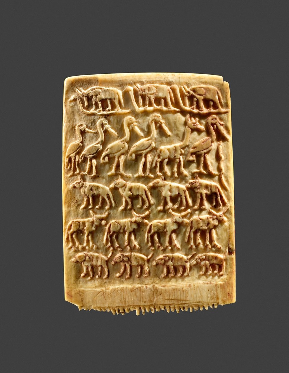 Villieläinriveillä koristeltu hiuskampa, noin 3200–3100 eKr. (norsunluu) tekijältä Naqada Period Egyptian