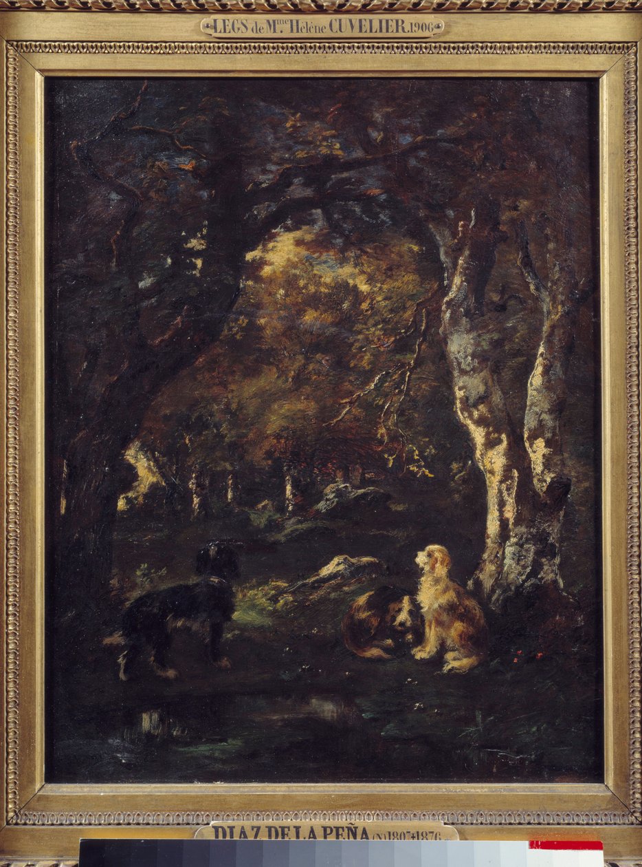 Koirat metsässä Narcissus Diaz de la Penan maalaus tekijältä Narcisse Virgile Diaz de la Peña