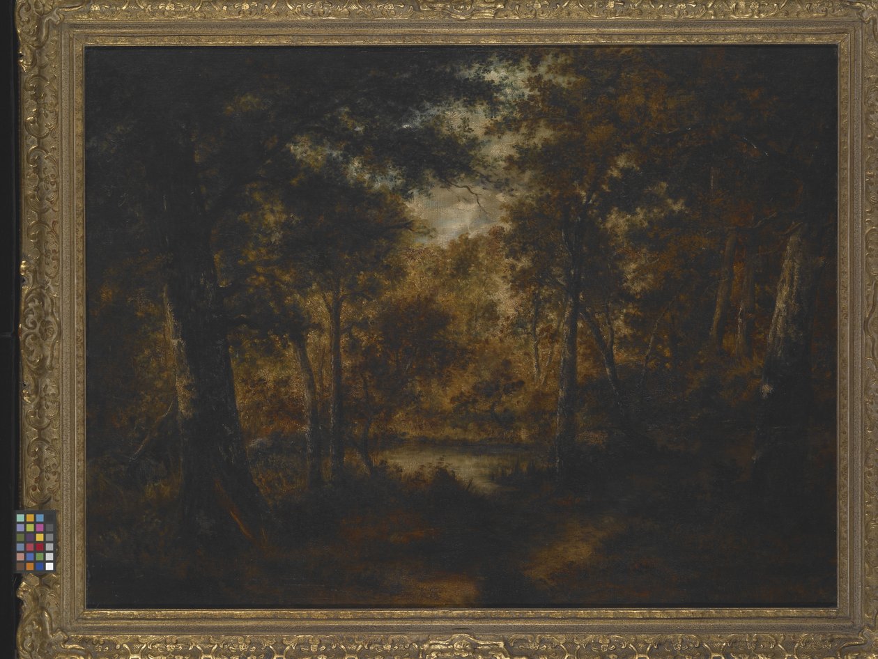 The Fairy Pool (öljy kankaalle) tekijältä Narcisse Virgile Diaz de la Peña