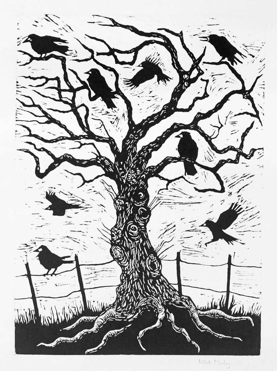 Rook Tree, 1999 tekijältä Nat Morley