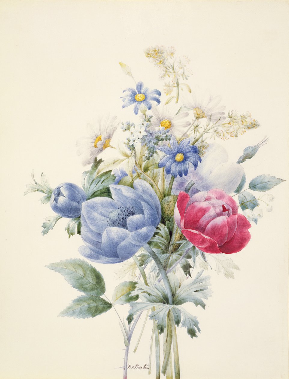 Ruusu, anemone, mignonette ja päivänkakkaroita (wc ja guassi vellumille). tekijältä Nathalie d