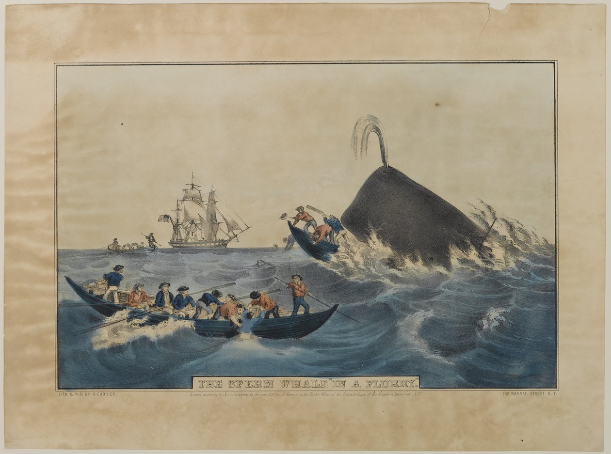The Sper Whale in a Flurry, julkaisija N. Currier, 1852 tekijältä Nathaniel Currier