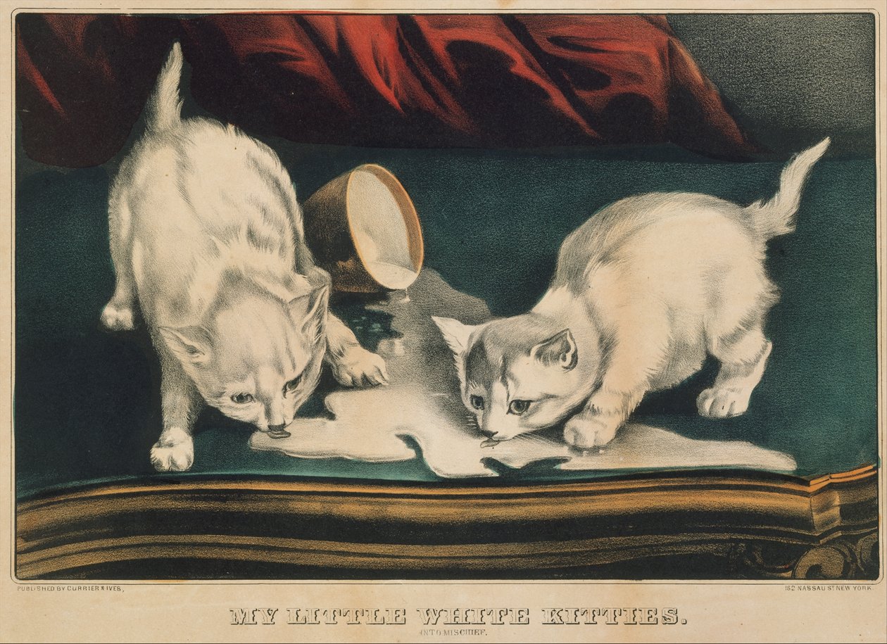My Little White Kitties - Into Mischief, 1871., 1871. Tekijät: Nathaniel Currier, James Merritt Ives, Currier ja Ives. tekijältä Currier and Ives
