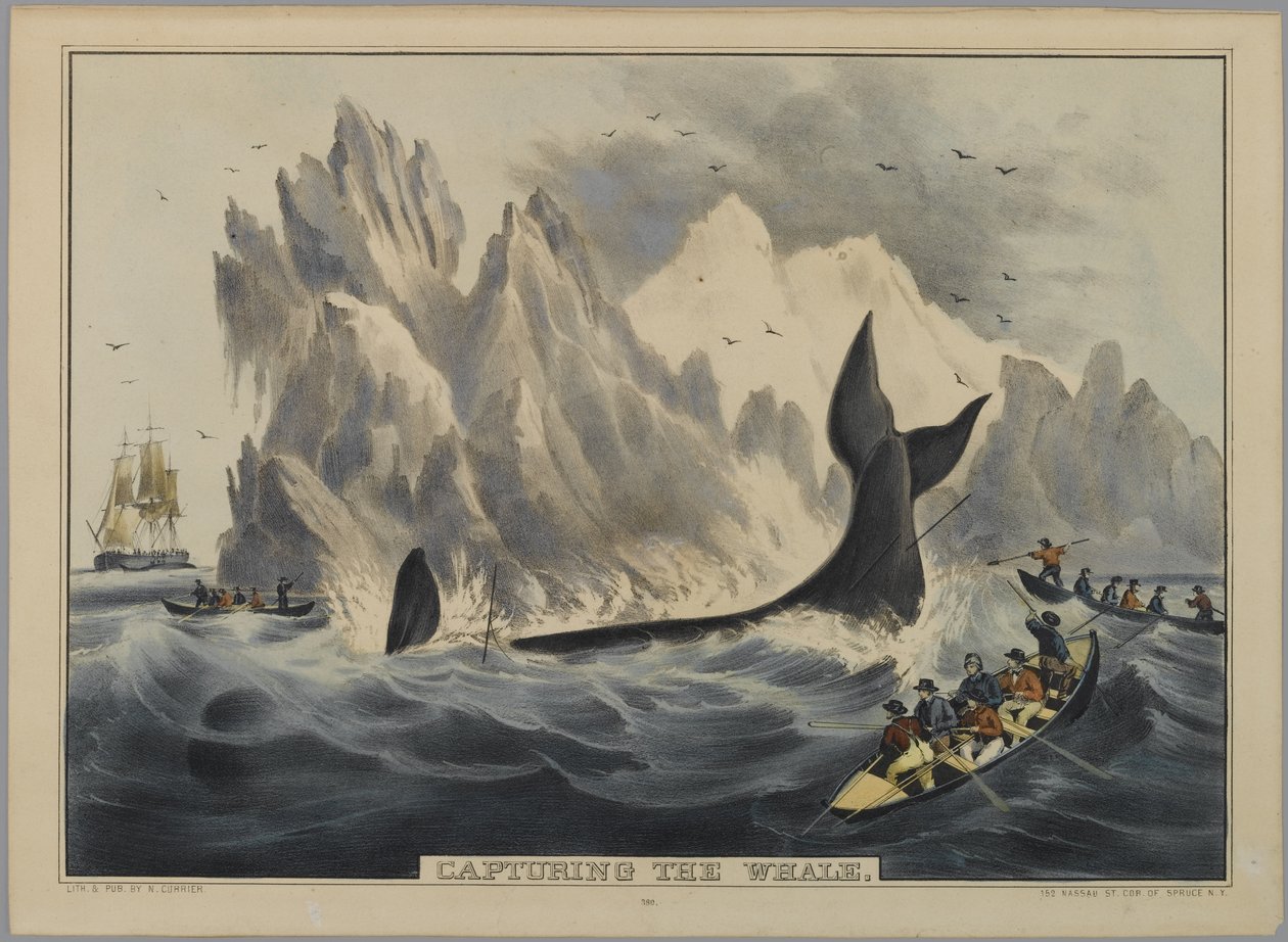 Valaan vangitseminen (käsinvärinen litho) tekijältä Nathaniel Currier