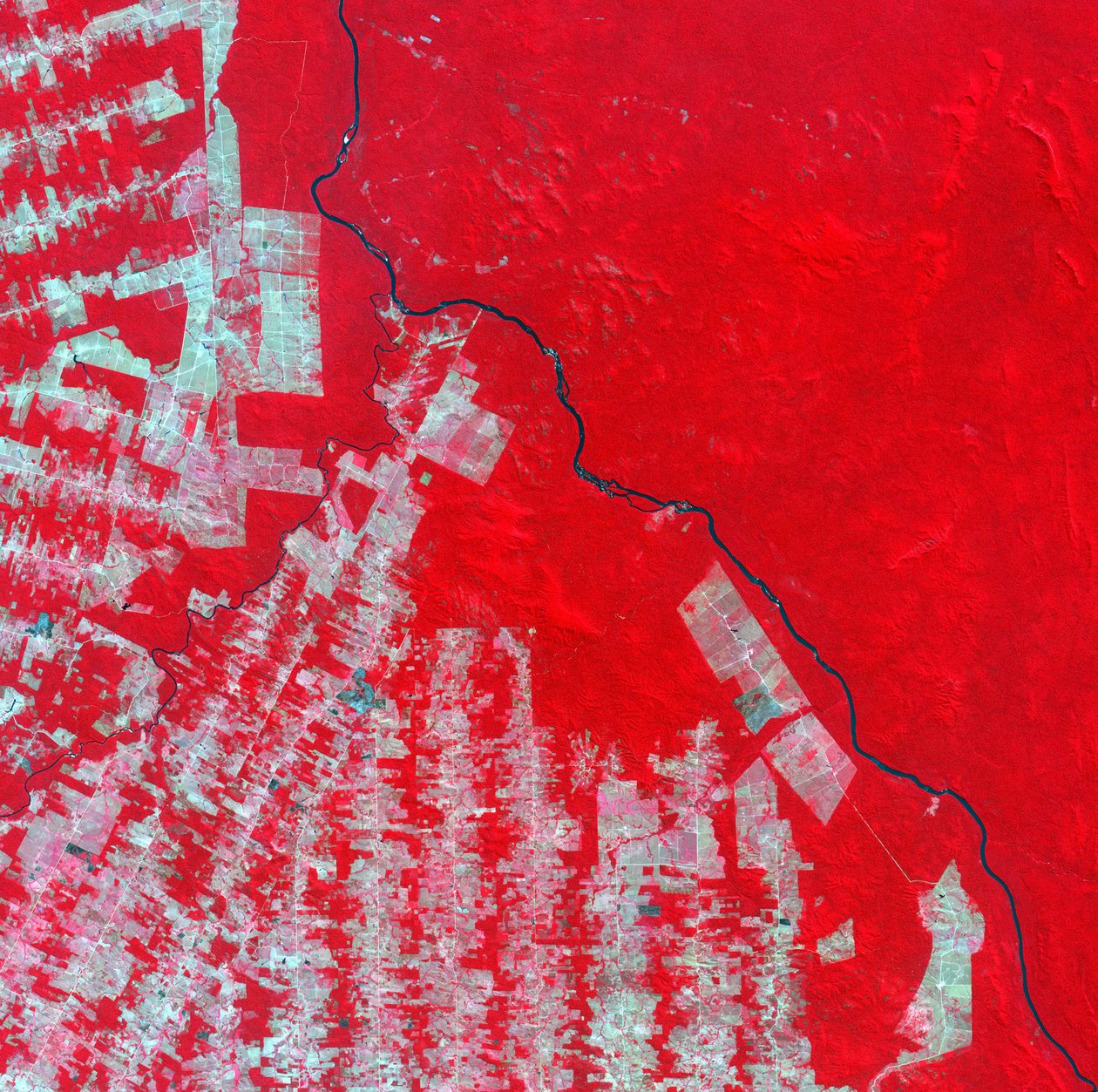 Väärävärinen satelliittikuva metsäkadosta Rondonia osavaltiossa Brasiliassa vuonna 2000. Vaaleanpunaiset ja ruskeat alueet ovat raivattuja maata, trooppinen sademetsä näkyy kirkkaan punaisena. Kiitos: NASA. Etelä-Amerikan tiede tekijältä National Aeronautics and Space Administration National Aeronautics and Space Administration
