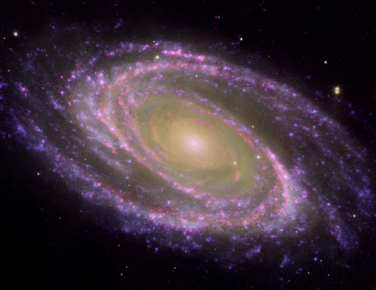 Spiral Galaxy M81, kallistettuna vinossa kulmassa maanpäälliseen näkölinjaan, katsottuna moniaallonpituisessa valossa. Kiitos NASA. Tiede Tähtitiede Tähtien avaruus tekijältä National Aeronautics and Space Administration National Aeronautics and Space Administration