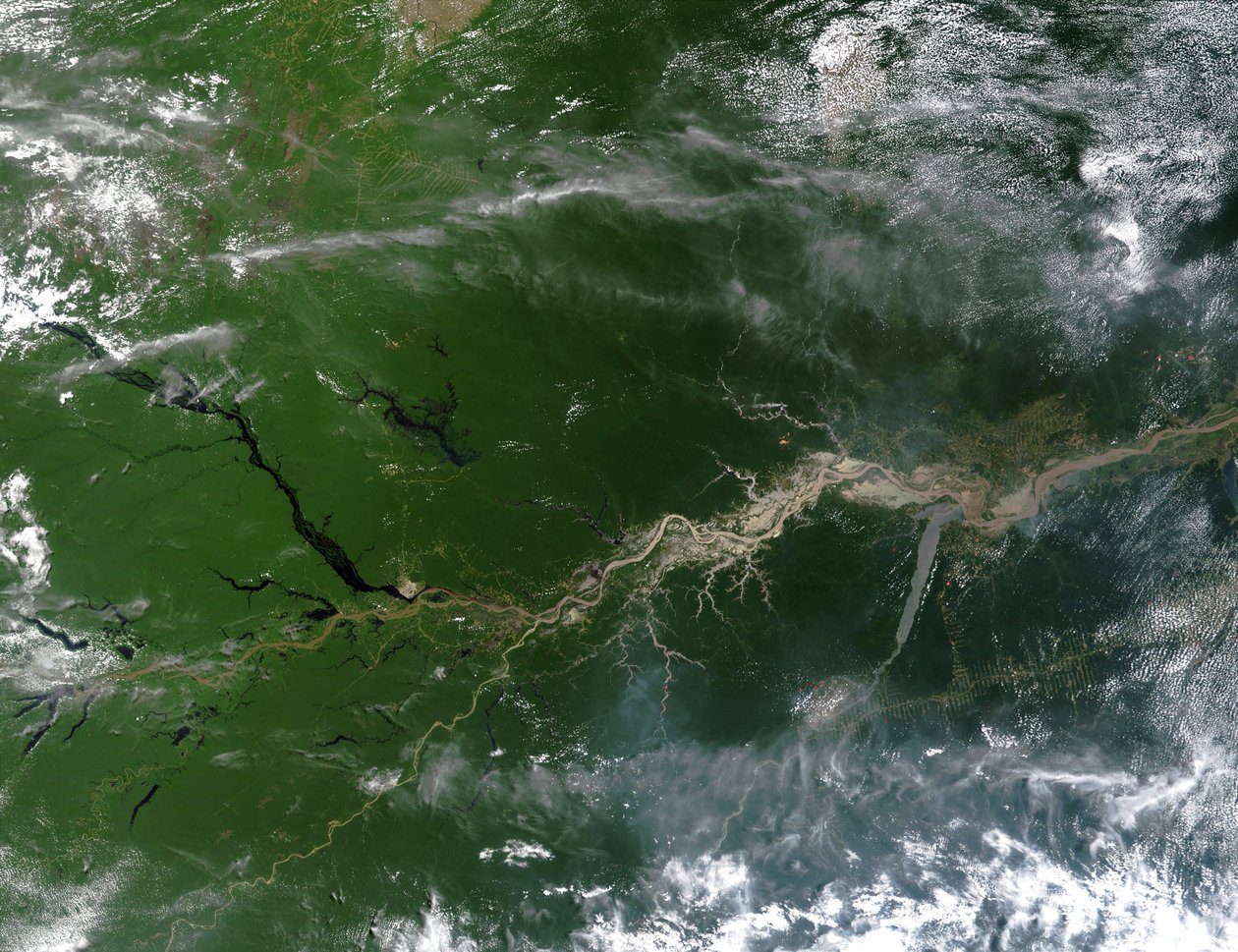 Aidonvärinen satelliittikuva Amazonjoesta, jota alas virtaa viidesosa Maan valtameriin tulevasta jokivedestä. Kiitos: NASA. Etelä-Amerikan tiedemaantiede tekijältä National Aeronautics and Space Administration National Aeronautics and Space Administration