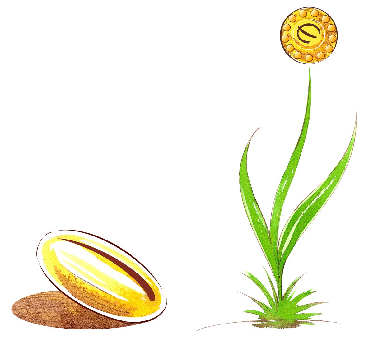 Seed and shoot - esimerkki taloudellisesta allegoriasta tekijältä Neale Osborne