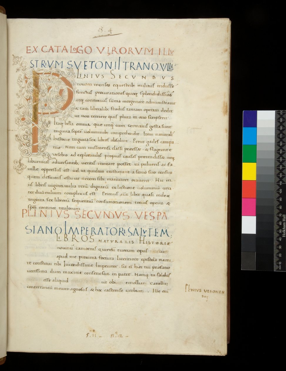 Ms 394,1. Plinius Vanhin, Historia naturalis, f.1r. Valaistu nimikirjain [P] valkoisella viiniköynnösvarren koristelulla (viimeistelemätön), Napoli, 1400-luvun puoliväli, n. 1442 (pergamentti) tekijältä Neapolitan School
