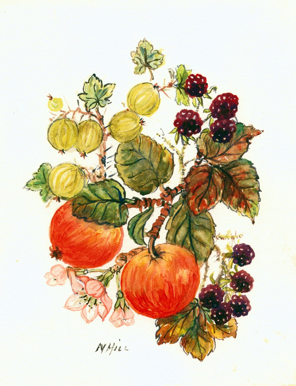 Brambles, omenat ja viinirypäleet (wc paperilla) tekijältä Nell Hill