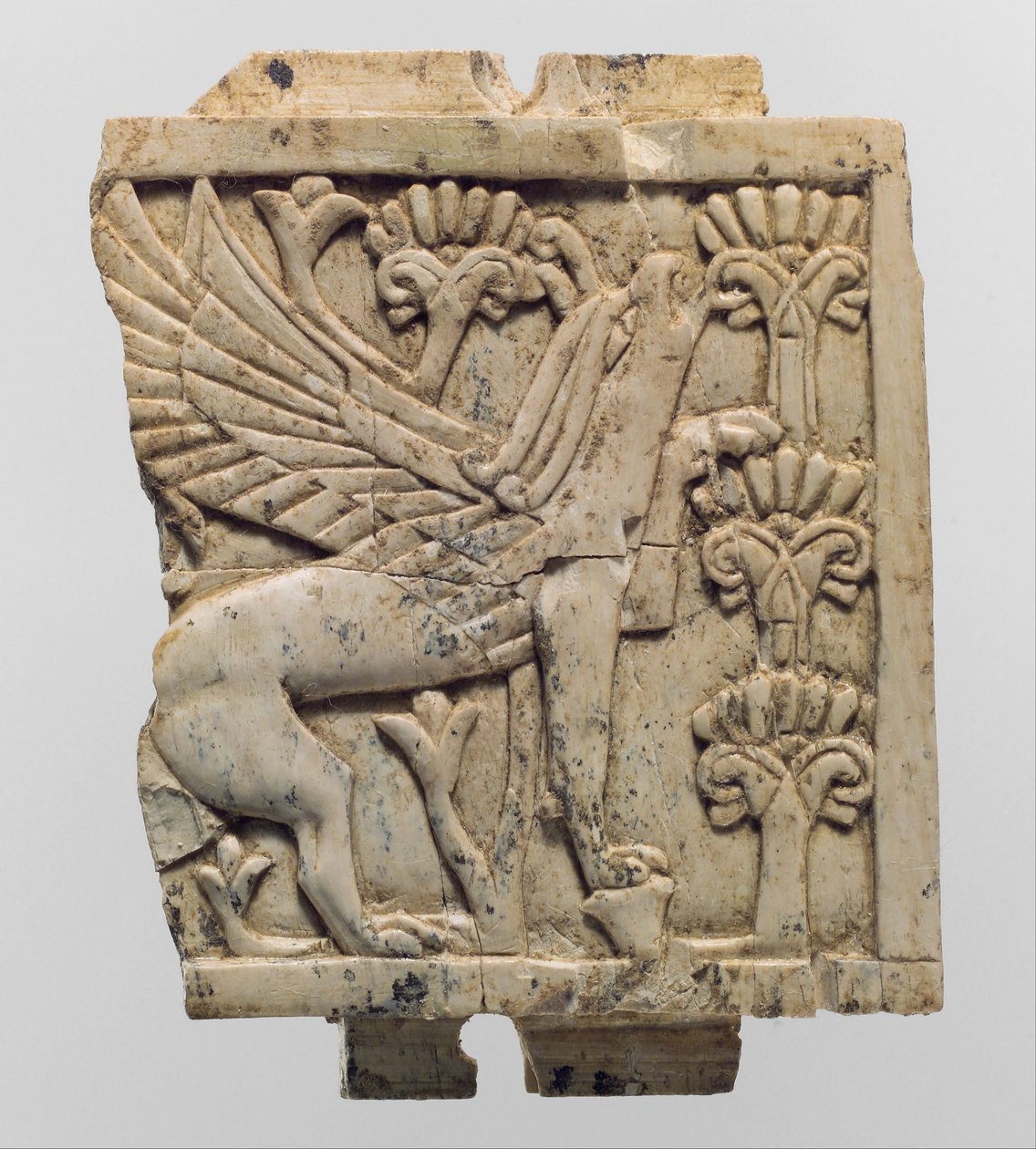 Huonekalulaatta, johon on kaiverrettu kohokuvioitu griffin kukkamaisemassa, noin 9.–8. vuosisadalla eKr. (norsunluu) tekijältä Neo Assyrian