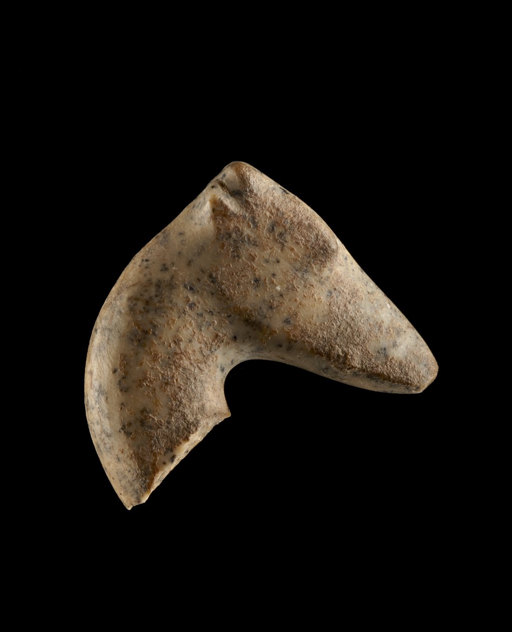 Naaraspersialaisen gasellin pää, 6000-5500 eKr. (graniitti) tekijältä Neolithic