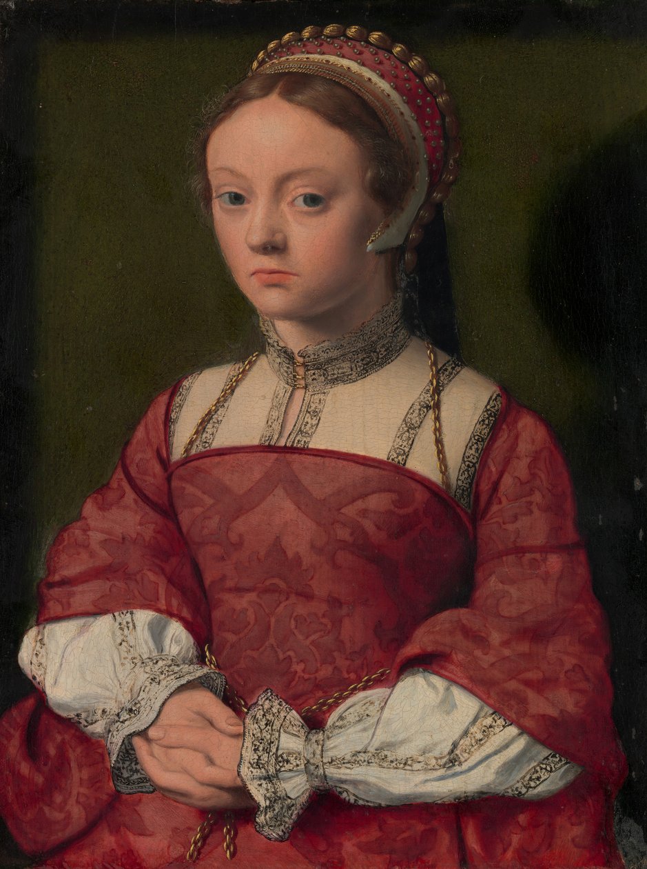 Nuoren naisen muotokuva. tekijältä Netherlandish Painter