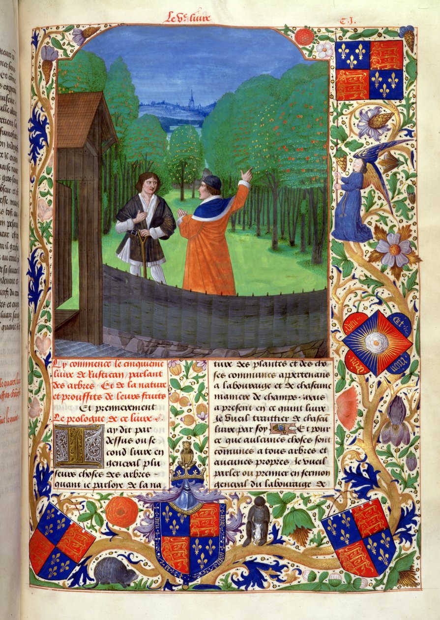 Roy 14 E VI f.110 Tekijäkeskustelut puutarhurille hedelmätarhassa, teoksesta "Rustican du cultivement des terres", teloitettu Edward IV:lle, Bruggessa tekijältä Netherlandish School