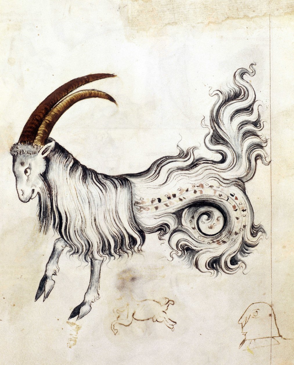 Sloane 3983, f.3v Horoskooppimerkki Kauris (vellum) tekijältä Netherlandish School