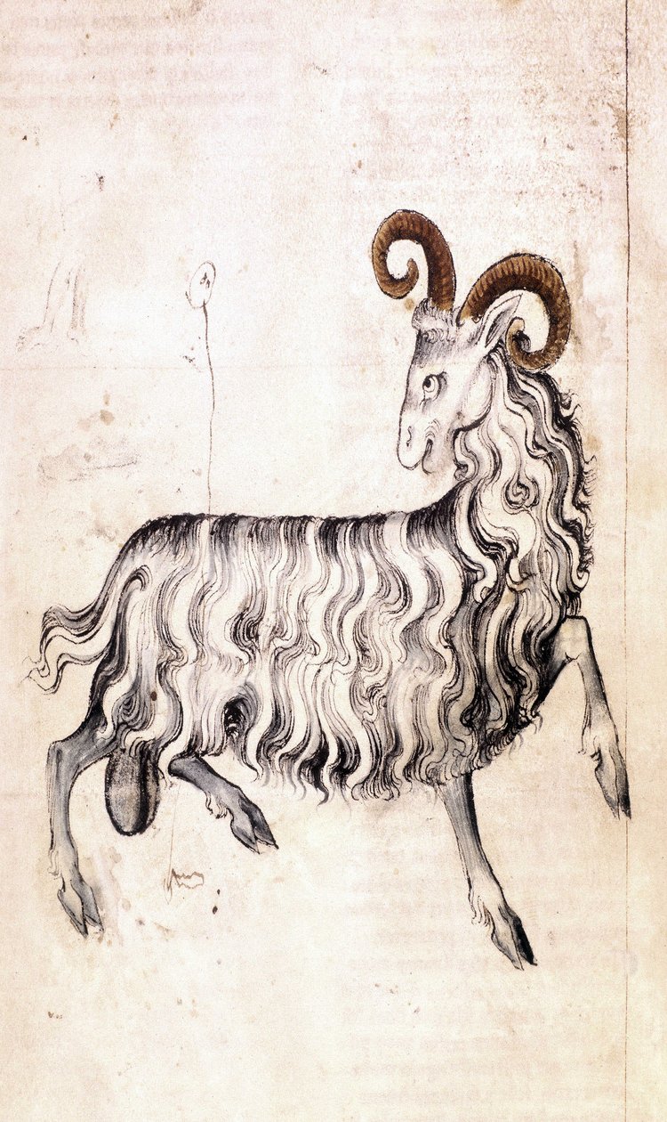 Sloane 3983 f3v Horoskooppimerkki Kauris (vellum) tekijältä Netherlandish School