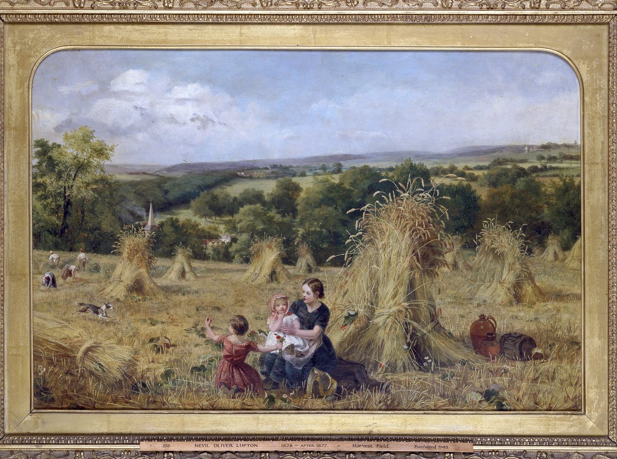 Sadonkorjuupelto, 1857-1858 tekijältä Nevil Oliver Lupton