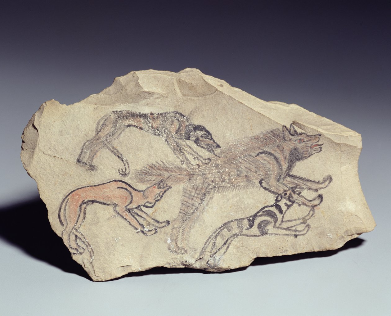 Ostracon kuvaa koiraa jahtaamassa hyeenaa (kalkkikiveä) tekijältä New Kingdom Egyptian