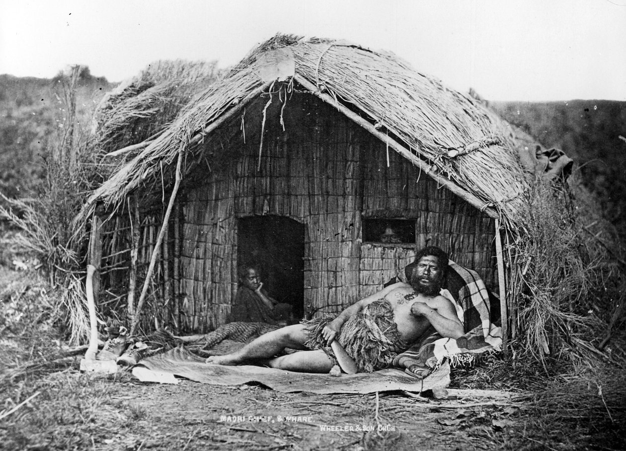 Maoripäällikkö ja talo, n. 1863-80 tekijältä New Zealand Photographer