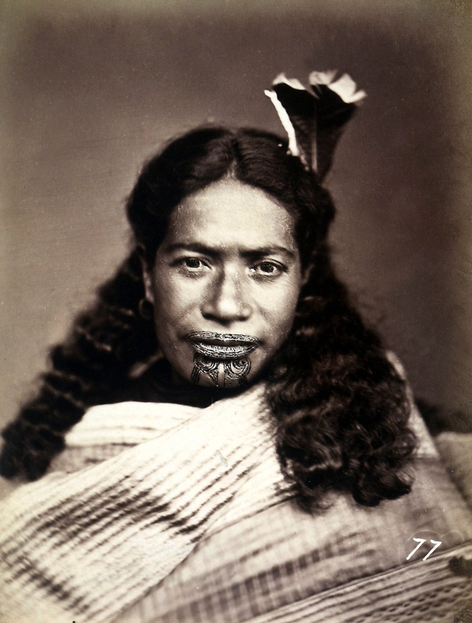 Muotokuva tatuoidusta maorista, n. 1886-88 tekijältä New Zealand Photographer