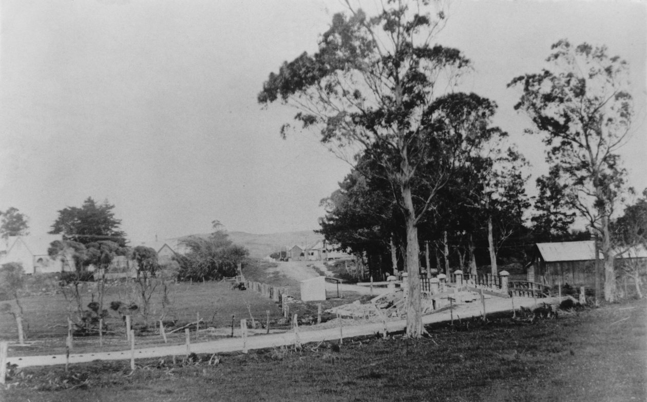 Silta Waihoihoi-joen yli kohti Waipu Townshipia, 1800-luvun loppu tekijältä New Zealander Photographer