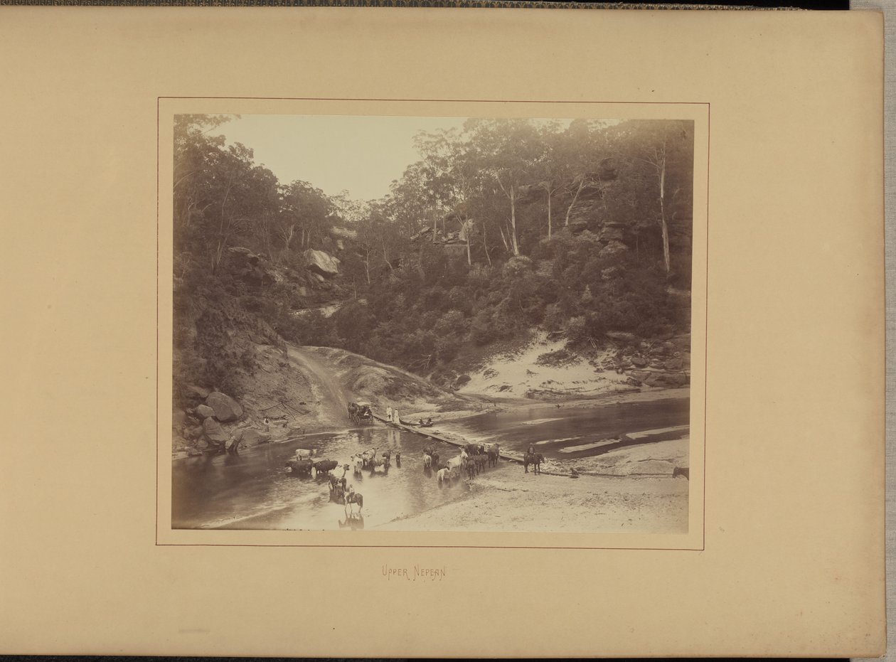 Upper Nepean tekijältä New South Wales Government Printing Office