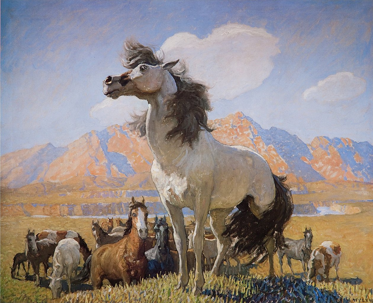 Smokey Facen tekijältä Newell Convers Wyeth