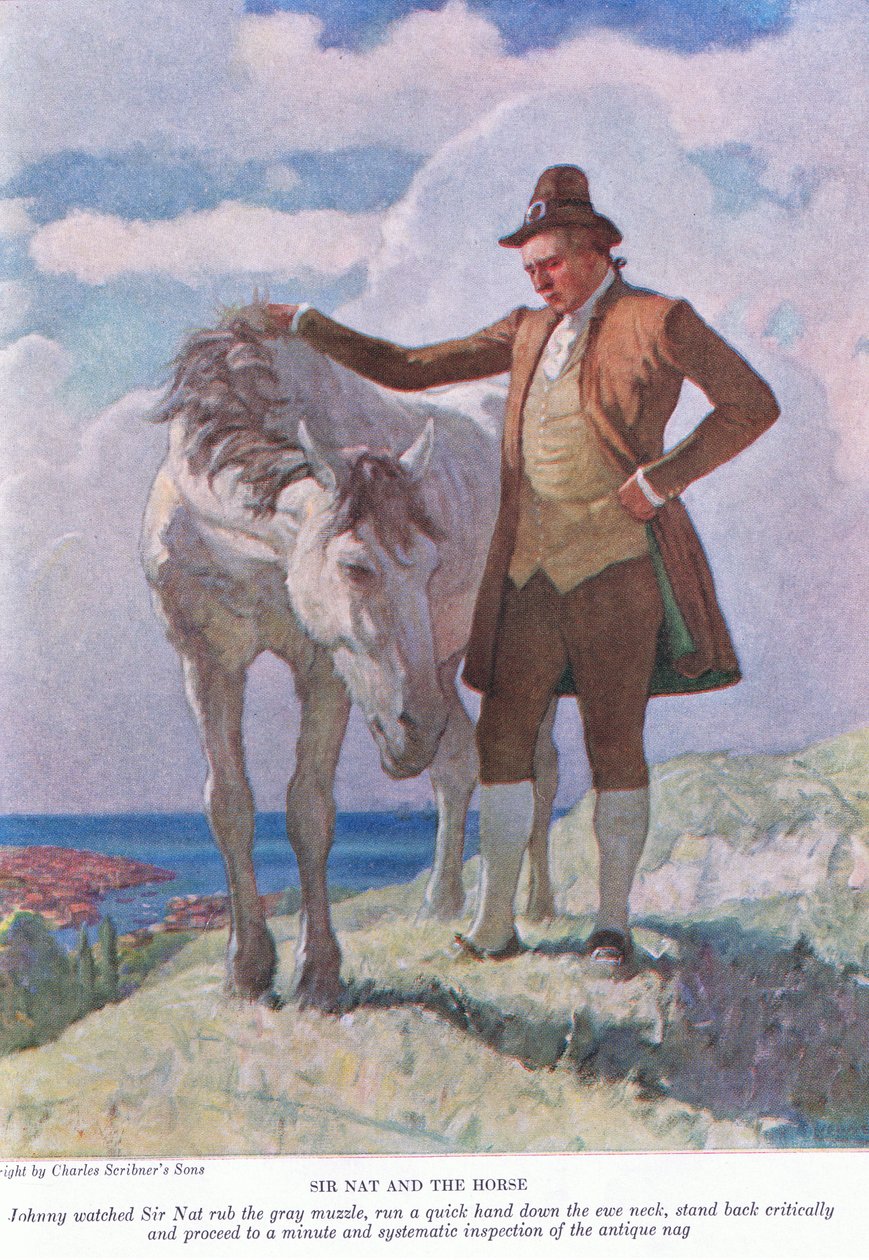 Sir Nat ja hevonen: Johnny näki Sir Natin hierovan harmaata kuonoa; seiso taaksepäin ja jatka hetkelliseen ja järjestelmälliseen tarkastukseen, 1928 tekijältä Newell Convers Wyeth