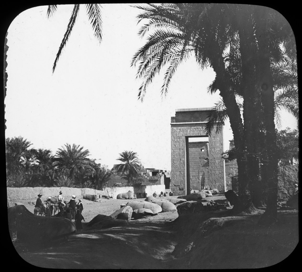 Avenue of Sphinxes, Karnak, Egypti, 1890 tekijältä Newton and Co