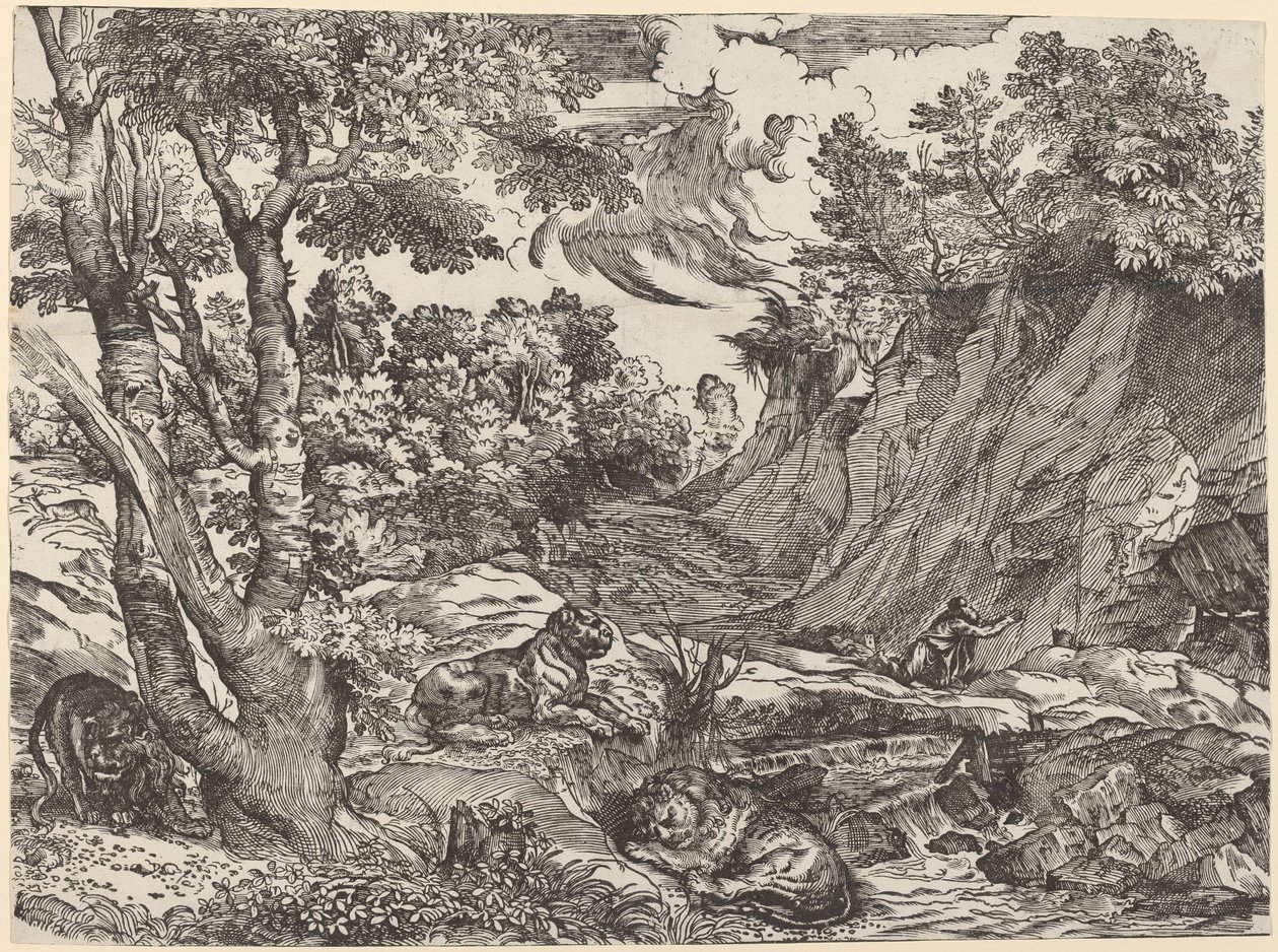 Pyhä Hieronymus erämaassa tekijältä Niccolò Boldrini after Titian