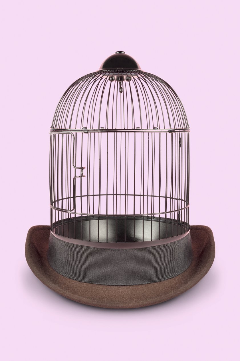 Mental Cage, 2020 (kuva) tekijältä Niccolò Fioriti