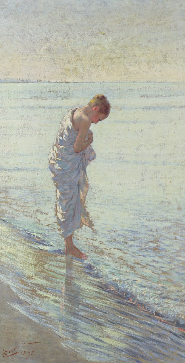 Una Conchigilia (A Shell), 1895 tekijältä Niccolo Cannicci