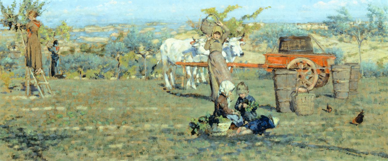Kentoilla, noin 1891, kirjoittanut Niccolo Cannicci (1846-1906). Öljy kankaalle, 41,5x90,5 cm. tekijältä Niccolo Cannicci