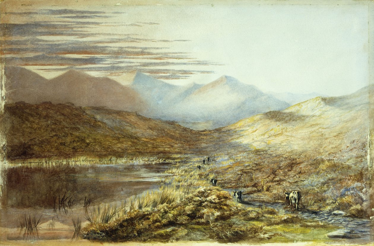 Pukakijärvi, Uusi-Seelanti, 1872 tekijältä Nicholas Chevalier