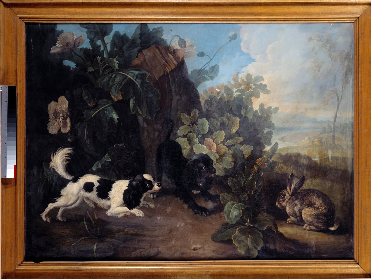Kaksi koiraa ja kani maalaus Nicolas Desportes dit le Nepheu (1718-1787) 1757 su. 0,97x1,3 m Pariisi, Musee du Louvre tekijältä Nicholas Desportes