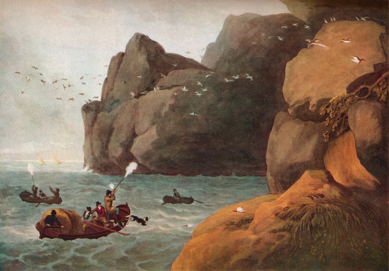 "Puffin Shooting", c1806 tekijältä Nichols and Merke
