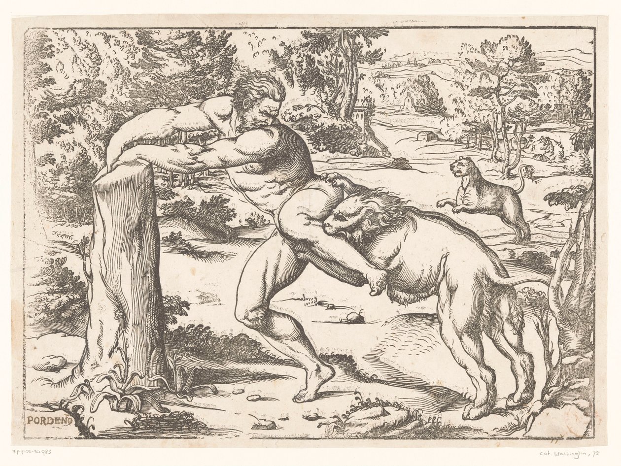 Milo of Croton hyökkäsi leijonan kimppuun tekijältä Nicolò Boldrini (attributed to)