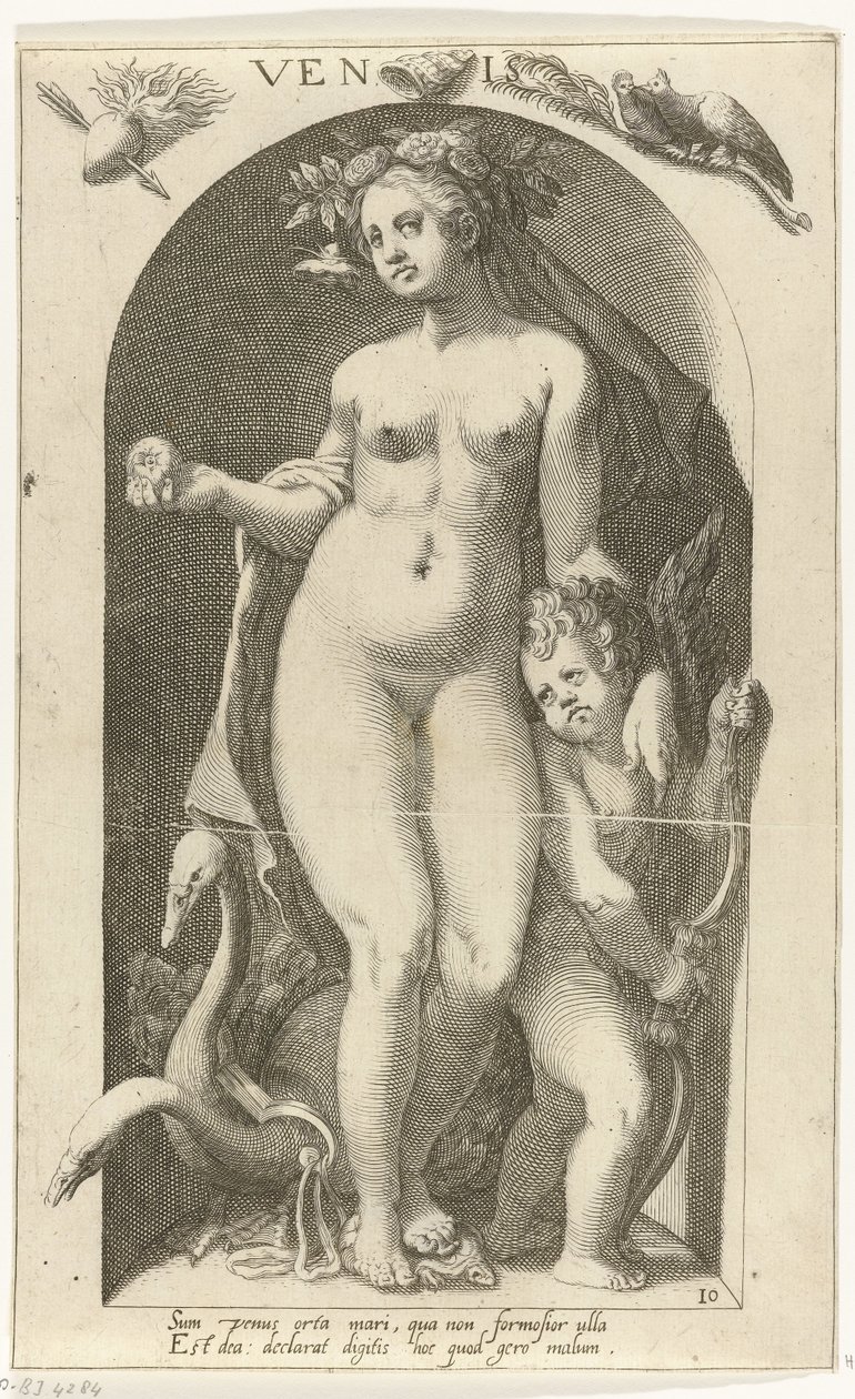 Venus Venis (otsikko esineessä) Ancient Gods (sarjan nimi) tekijältä Nicolaas Braeu