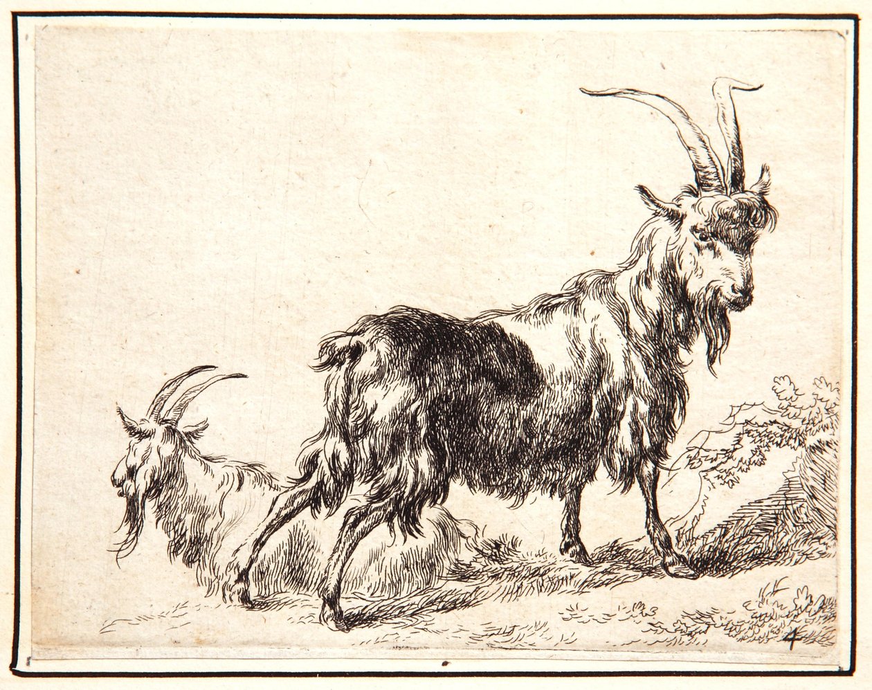 Vuohet tekijältä Nicolaes Pietersz. Berchem