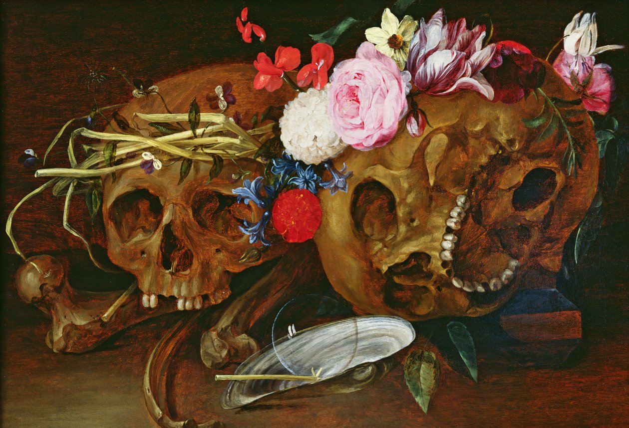Vanitas asetelma kalloilla, kukilla, helmisimpukkakuorella, kuplalla ja oljella tekijältä Nicolaes van Veerendael