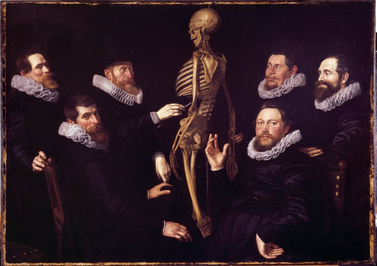 Anatomian oppitunti Dr. Sebastian Egbertsz. Vapaa tekijältä Nicolaes  Eliasz