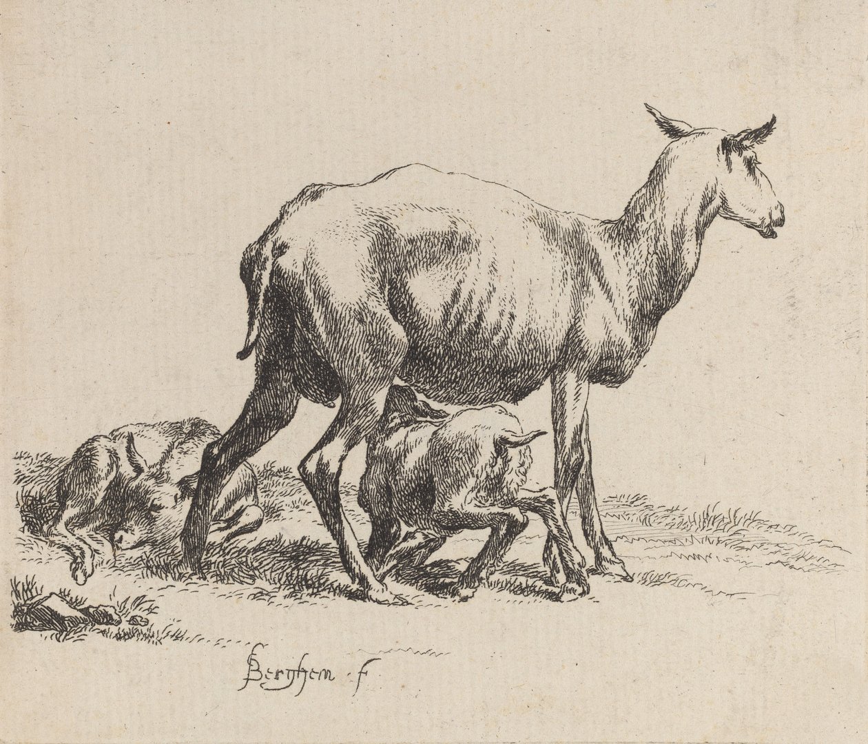 Ewe Nursing Her Lamb. tekijältä Nicolaes Berchem