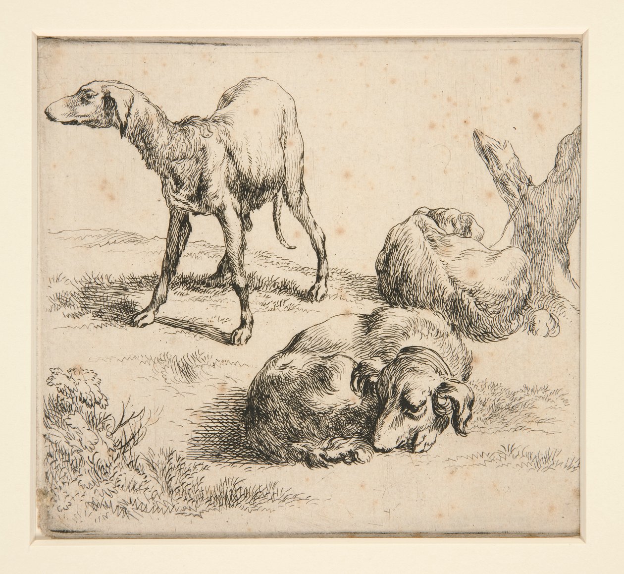 Kolme metsästyskoiraa (alkaen tekijältä Nicolaes Berchem