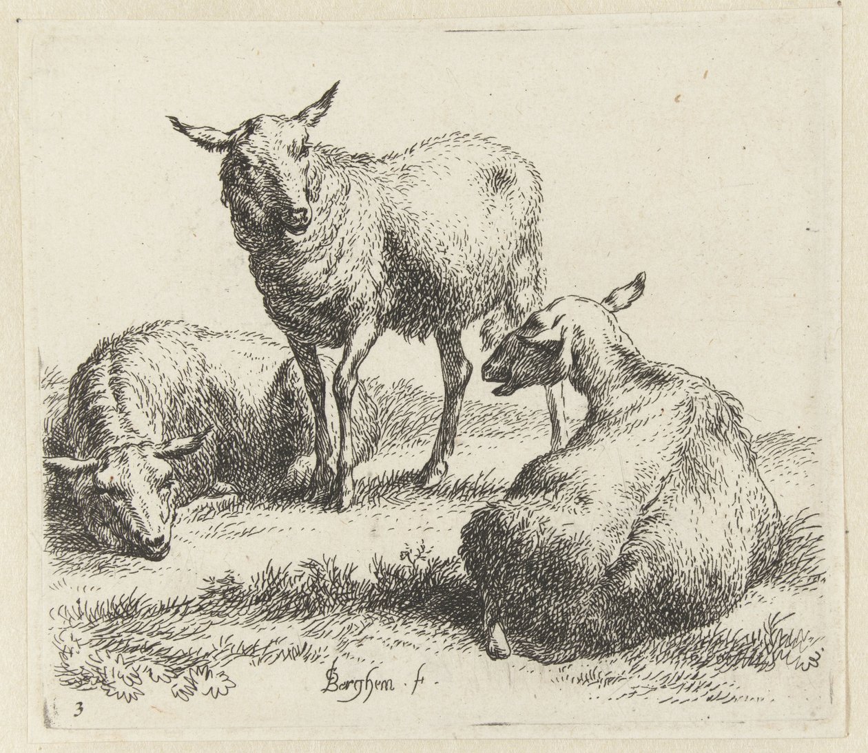 Kuivaa lampaat Schapen (sarjan nimi) Studio and Art of Nicolai Berchem (sarjan nimi) herättää elämään ja painaa veteen voimakkaalla ilmalla eläimet tekijältä Nicolaes Pietersz Berchem