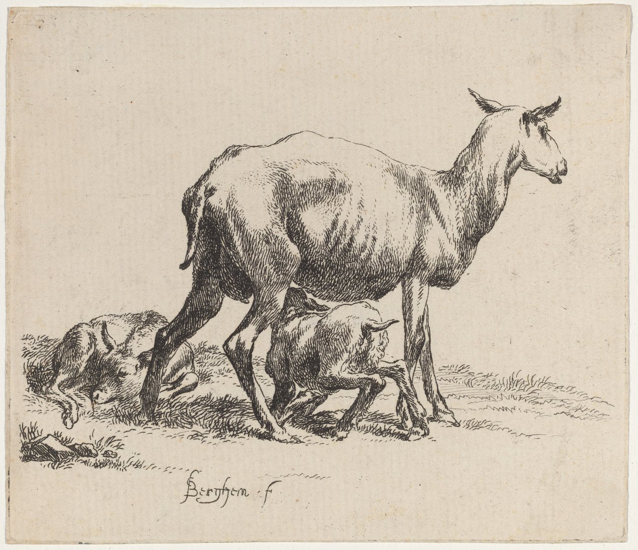 Ewe Nursing Her Lamb tekijältä Nicolaes Pietersz Berchem